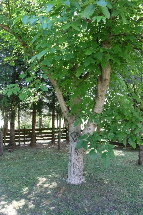 Holiday Home "Iris" Near Plitvice Lakes Rudanovac Eksteriør bilde